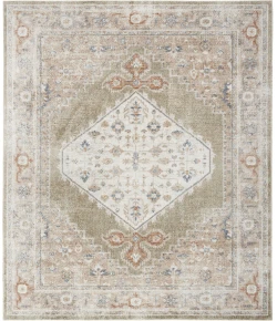 Nourison Astra Machine Washable Sage Multicolor ASW11 7ft. x 10ft. Rect. Rug