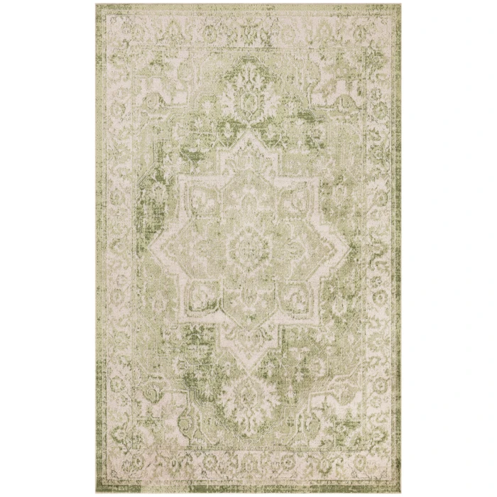 Nourison Astra Machine Washable Ivory Green ASW12 4 ft. X 6 ft. Rectangle Rug