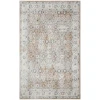Nourison Home Astra Machine Washable ASW16 Silver Taupe 4 ft. X 6 ft. Area Rug