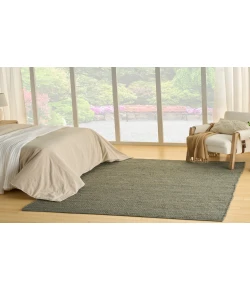 Nourison Home Natural Jute NJT01 Sage 8 ft. X 10 ft. Area Rug