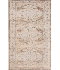 Nourison Home Astra Machine Washable ASW11 Beige 2 ft. 2 in. X 10 ft. Area Rug