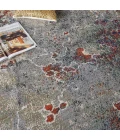 Nourison Artworks Area Rug ATW02-Seafoam/Brick