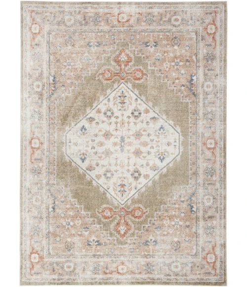 Nourison Astra Machine Washable Area Rug ASW11 Sage Multi