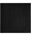 Nourison Essentials Black Area Rug NRE01-Black