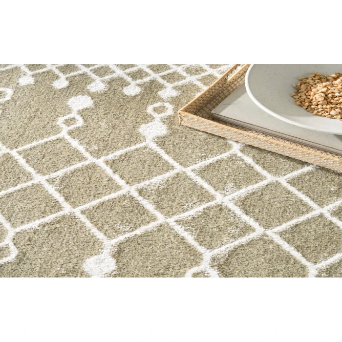Nourison Astra Machine Washable Sage ASW10 6 ft. 7 in. X 9 ft. Rectangle Rug