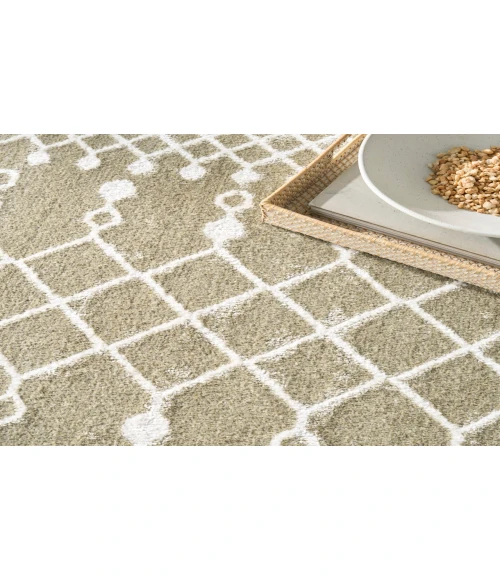 Nourison Astra Machine Washable Sage ASW10 7 ft. 10 in. X 10 ft. Rectangle Rug