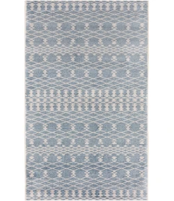 Nourison Home Astra Machine Washable ASW10 Blue 2 ft. X 6 ft. Area Rug
