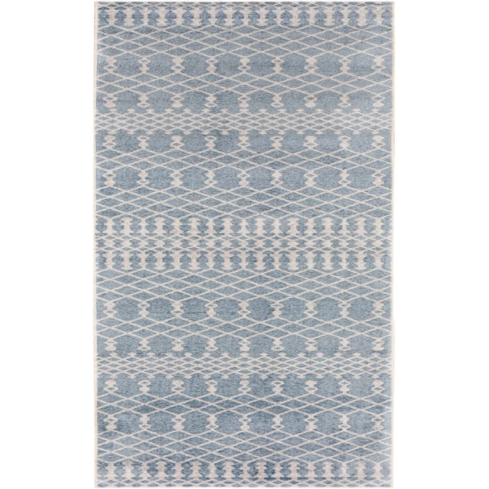Nourison Astra Machine Washable Blue ASW10 2 ft. X 6 ft. Rectangle Rug