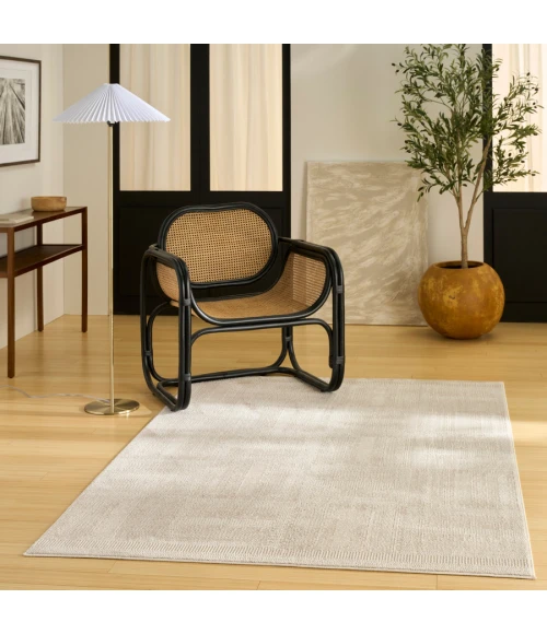 Nourison Home Nordic Taupe NRC11 4 ft. X 6 ft. Rectangle Rug
