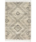 Nourison Oslo Shag Ivory/Grey OSL02 4 ft. X 6 ft. Rect. Rug