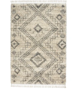 Nourison Home Oslo Shag OSL02 Ivory/Grey 4 ft. X 6 ft. Area Rug