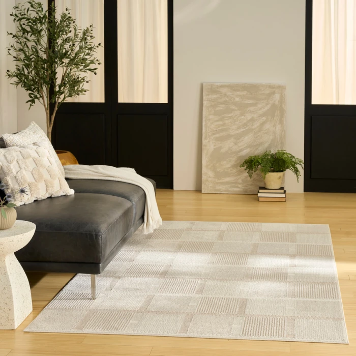 Nourison Home Nordic Ivory Taupe NRC09 4 ft. X 6 ft. Rectangle Rug