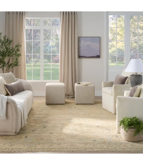 Nourison Heritage Vine Beige HTV01 9 ft. X 12 ft. Rect. Rug