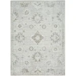 Nourison Home Astra Machine Washable ASW19 Ivory 4 ft. X 6 ft. Area Rug