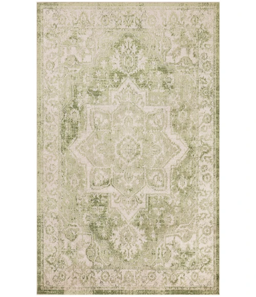 Nourison Astra Machine Washable Ivory Green ASW12 5 ft. 3 in. X 7 ft. Rectangle Rug