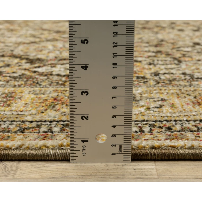 Oriental Weavers ANDORRA 2431a Brown/Gold Rug 3'3X5'2