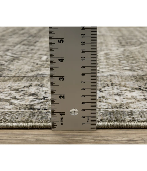 Oriental Weavers CHAMBERLAIN CH02D Grey 9'10X12'10