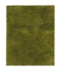Oriental Weavers Area Rug Cosmo 81101 Green 3' 3" X  5' 3"