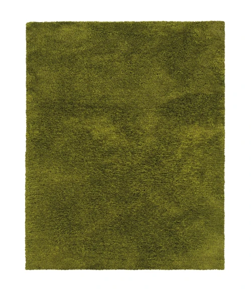 Oriental Weavers Area Rug Cosmo 81101 Green 3' 3" X  5' 3"