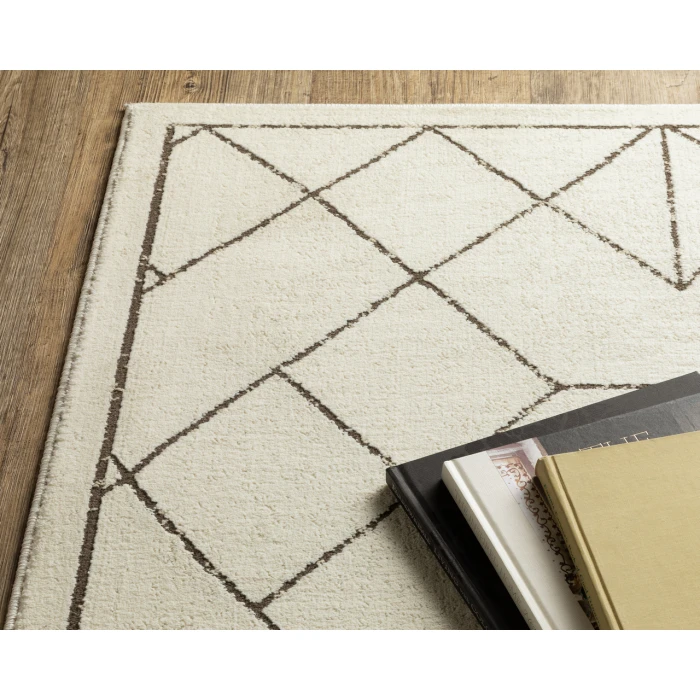 Oriental Weavers RAYLAN ray06 Ivory/Brown Rug 3' 3X5'
