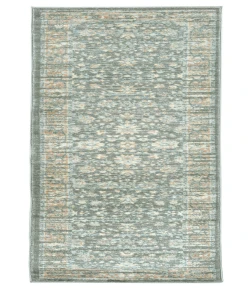 Radici USA Seriate 501/2003/Ltgreen 2'2 X 7'7 Runner Rug
