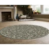 Radici USA Pisa 6674/0045/Ltgreen 7'10 Round Rug