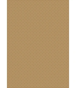 Radici USA Como 782/1414 Beige Rug 2 ft. 2 X 7 ft. 7 Rectangle