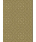Como Radici USA 782/1510/SAGE Area Rug