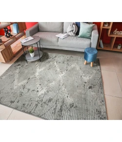 Radici USA Davide 1230/1012/Grey 5'3 X 7'3 Rectangular Rug