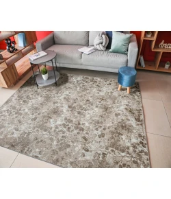 Radici USA Livigno 1242/1001/Beige 3'3" X 4'11" Rectangular Rug