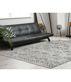 Radici USA Livigno 1243/1011/Grey 3'3" X 4'11" Rectangular Rug