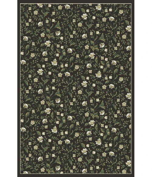 Pisa Radici USA 6674/0014/BROWN Area Rug