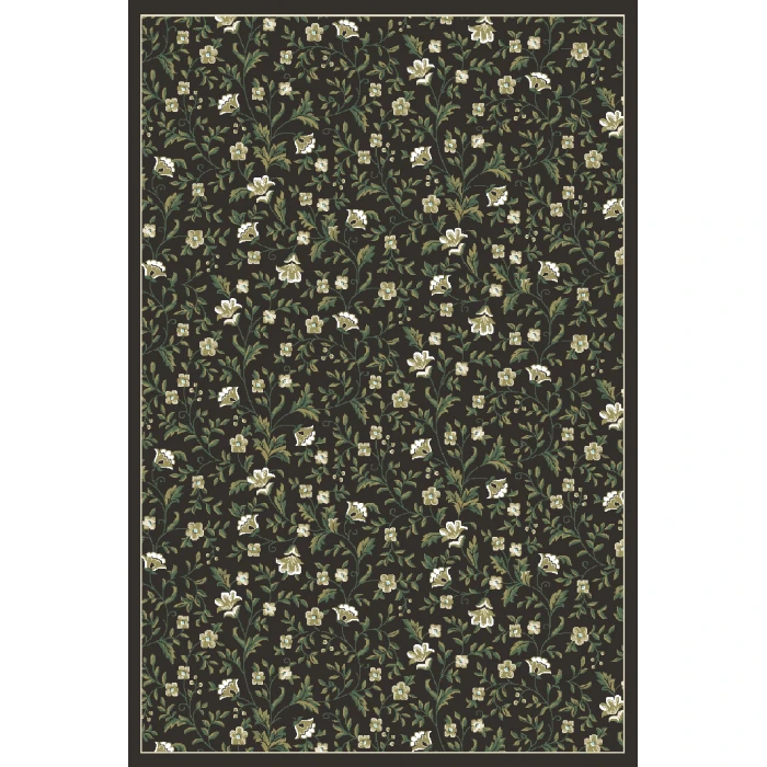 Pisa Radici USA 6674/0012/BROWN Area Rug