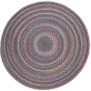 Rhody Astoria Blue Dragon AS92 6 ft. X 6 ft. Round Braided Rug