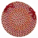 Rhody Cypress Brilliant Red CY47 15 in. X 15 in. Chair Pad Set-of-4 Braided Rug