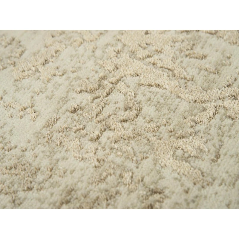 Rizzy Artistry ARY104 Neutral Area Rug