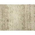 Rizzy Artistry ARY104 Neutral Area Rug
