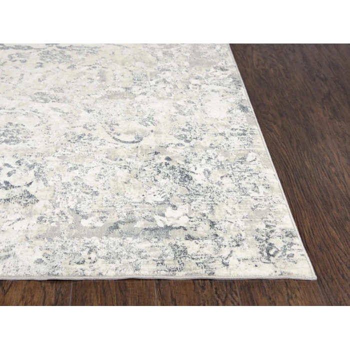 Rizzy Chelsea Area Rug CHS109 3'11" x 5'6" Ceam/Gray