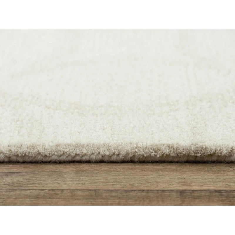 Rizzy Harmony Area Rug HMY976 5' x 7'6" Ivory