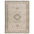 Rizzy Iconic ICO761 Neutral Area Rug