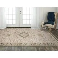Rizzy Iconic ICO761 Neutral Area Rug