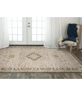 Rizzy Iconic ICO761 Neutral Area Rug
