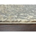 Rizzy Impressions IMP103 Neutral Area Rug