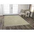 Rizzy Ironwood Area Rug IWD103 7'6" x 9'6" Beige