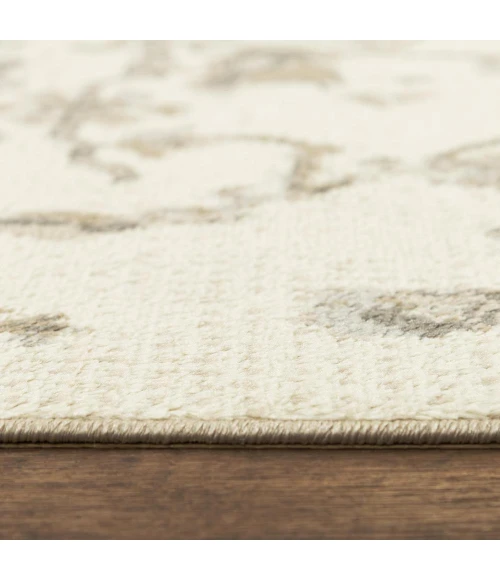 Rizzy Palace PLC858 Neutral Area Rug