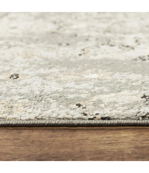 Rizzy Palace PLC859 Gray Area Rug