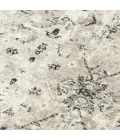 Rizzy Palace PLC860 Neutral Area Rug