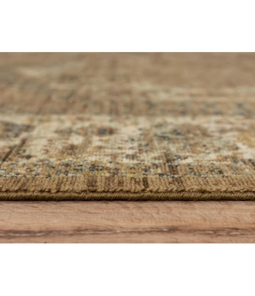 Rizzy Platinum PNM103 Brown Area Rug