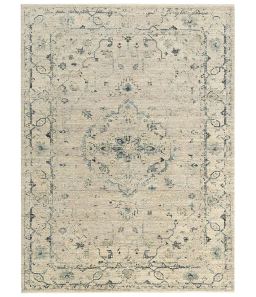 Rizzy Platinum PNM104 Neutral Area Rug