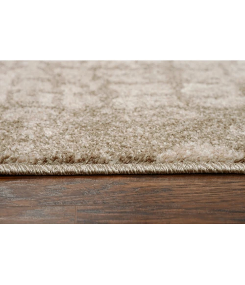Rizzy Valencia Area Rug VCA102 3'11" x 5'6" Beige